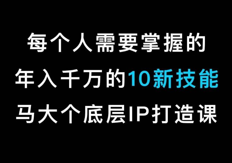 马大个的IP底层逻辑课，​每个人需要掌握的年入千万的10新技能，约会底层IP打造方法！-一新网创