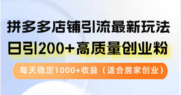 拼多多店铺引流最新玩法，日引200+高质量创业粉，每天稳定1000+收益(...-一新网创