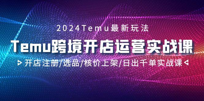 2024Temu跨境开店运营实战课，开店注册/选品/核价上架/日出千单实战课-一新网创