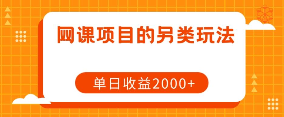网课项目的另类玩法，单日收益2000+【揭秘】-一新网创