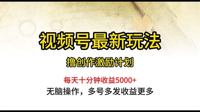 视频号最新玩法，每日一小时月入5000+-一新网创