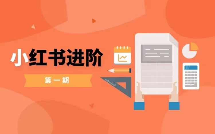 小红书进阶篇，零基础小白实战课，普通人变现的课程-一新网创