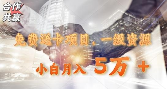 免费送卡项目，一级资源，小白月入5万+-一新网创