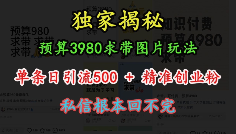 预算3980求带 图片玩法，单条日引流500+精准创业粉，私信根本回不完-一新网创