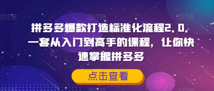 拼多多爆款打造标准化流程2.0，一套从入门到高手的课程，让你快速掌握拼多多-一新网创