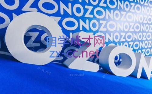 森哥·出海俄罗斯电商实操(2024)-一新网创