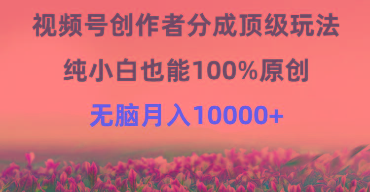 (9608期)视频号创作者分成顶级玩法，纯小白也能100%原创，无脑月入10000+-一新网创