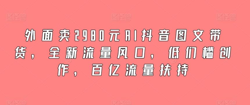 外面卖2980元AI抖音图文带货，全新流量风口，低们槛创作，百亿流量扶持-一新网创