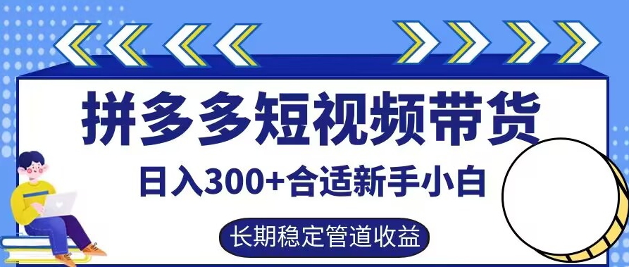 拼多多短视频带货日入300+有长期稳定被动收益，合适新手小白【揭秘】-一新网创