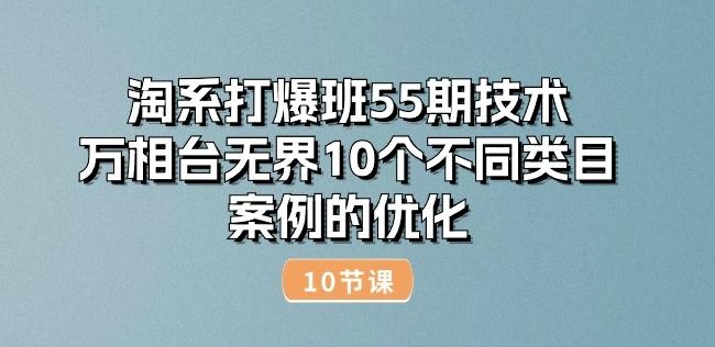 淘系打爆班55期技术：万相台无界10个不同类目案例的优化(10节)-一新网创