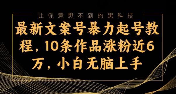 最新文案号暴力起号教程，10条作品涨粉近6万，小白无脑上手-一新网创