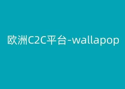 欧洲C2C平台-wallapop-kim跨境电商教程-一新网创