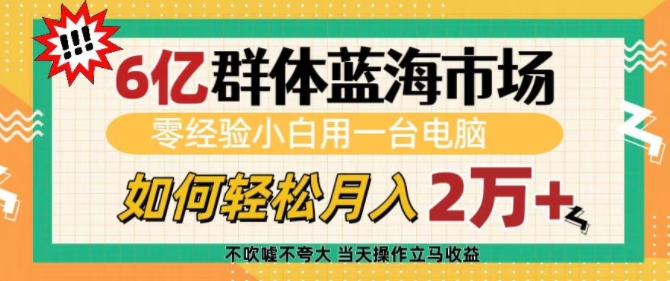 6亿群体蓝海市场，零经验小白用一台电脑，如何轻松月入过w【揭秘】-一新网创