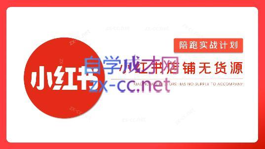 安琪·小红书店铺无货源-一新网创