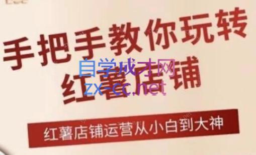 海燕老师·2024手把手教你玩转红薯店铺-一新网创