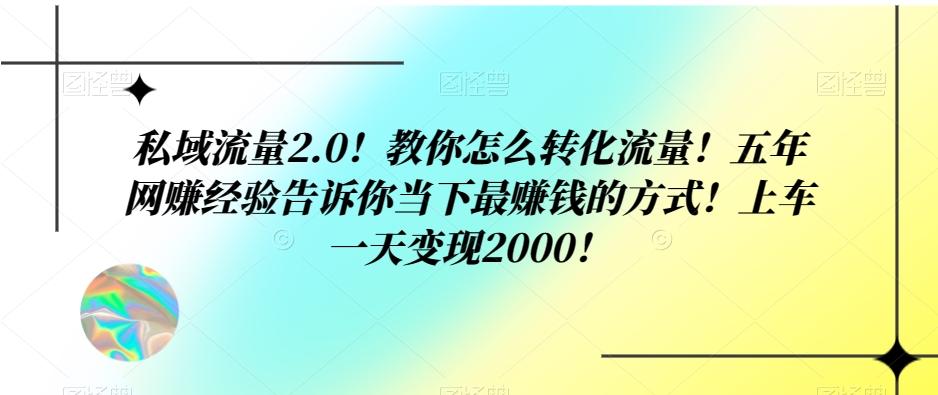 私域流量2.0！教你怎么转化流量！五年网赚经验告诉你当下最赚钱的方式！上车一天变现2000！-一新网创