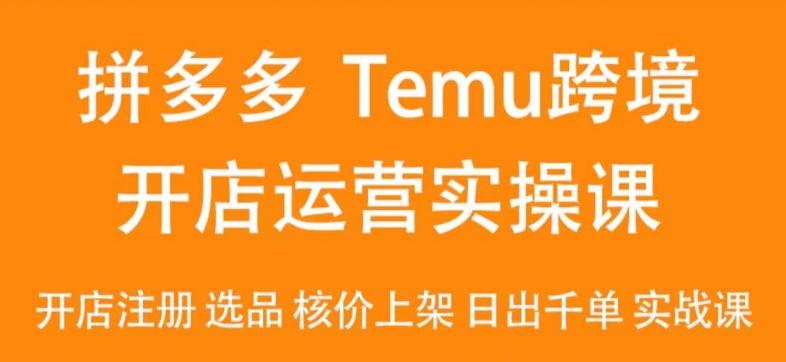 2024Temu最新玩法，Temu跨境开店运营实操课，开店注册/选品/核价上架/日出千单实战课-一新网创