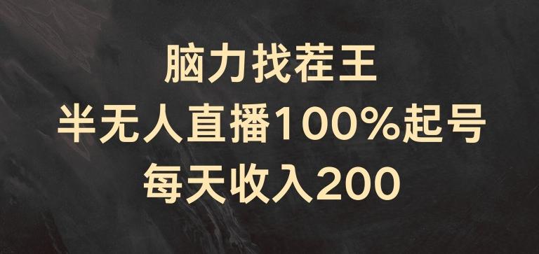 脑力找茬王，半无人直播100%起号，每天收入200+【揭秘】-一新网创