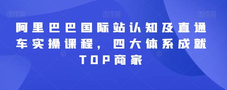 阿里巴巴国际站认知及直通车实操课程，四大体系成就TOP商家-一新网创