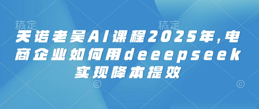 天诺老吴AI课程2025年，电商企业如何用deeepseek实现降本提效-一新网创