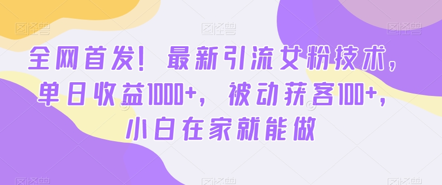 全网首发！最新引流女粉技术，单日收益1000+，被动获客100+，小白在家就能做【揭秘】-一新网创