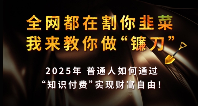 全网都在割你韭菜，我来教你做镰刀，2025年普通人如何通过 知识付费 实现财F自由【揭秘】-一新网创