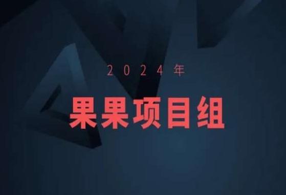 2024年果果项目组项目合集-果果最新项目-一新网创