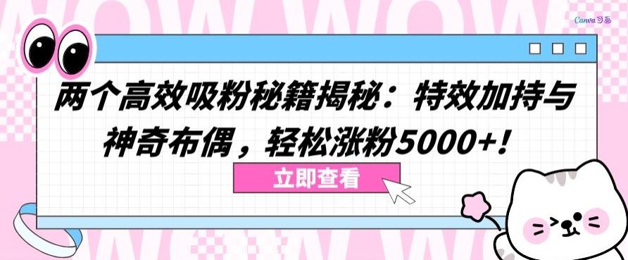 两个高效吸粉秘籍揭秘：特效加持与神奇布偶，轻松涨粉5000+【揭秘】-一新网创