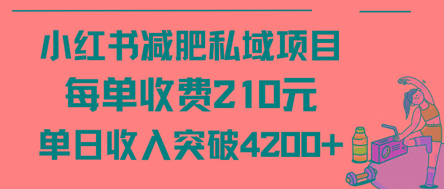 (9466期)小红书减肥私域项目每单收费210元单日成交20单，最高日入4200+-一新网创