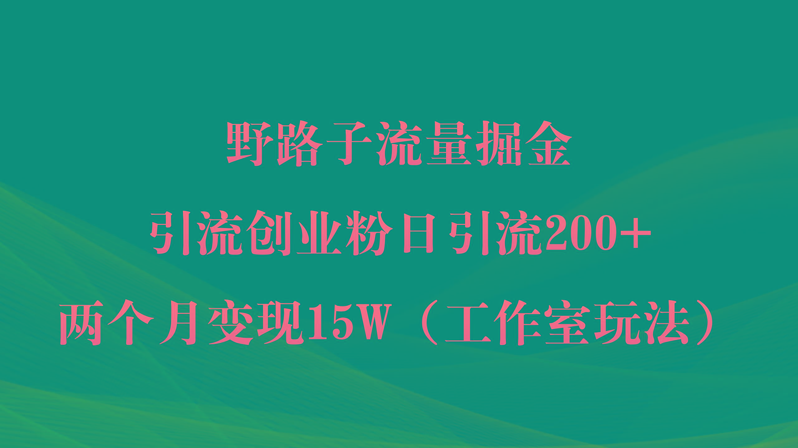 (9513期)野路子流量掘金，引流创业粉日引流200+，两个月变现15W(工作室玩法))-一新网创