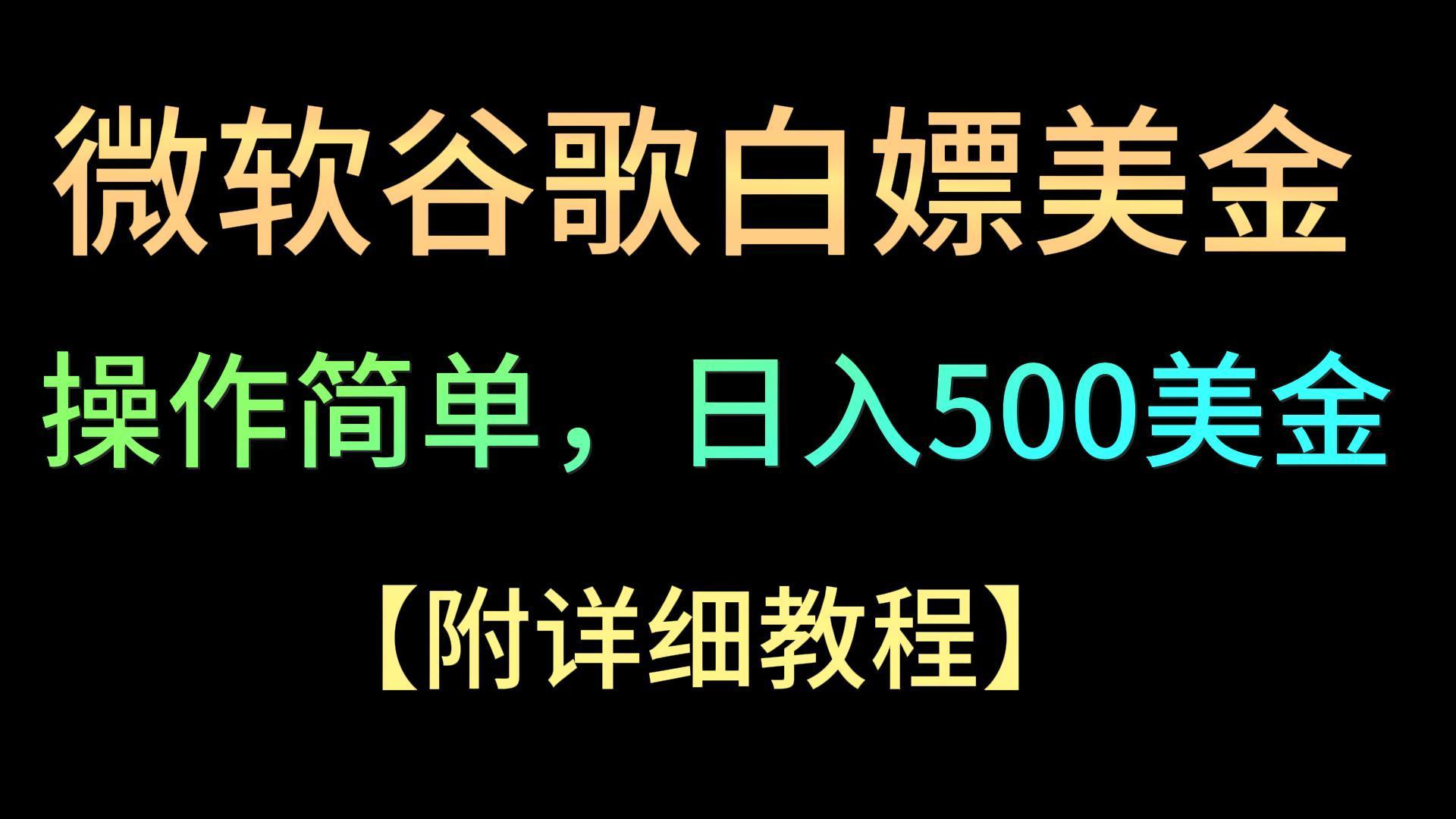 微软谷歌项目3.0，轻松日赚500+美金，操作简单，小白也可轻松入手！-一新网创