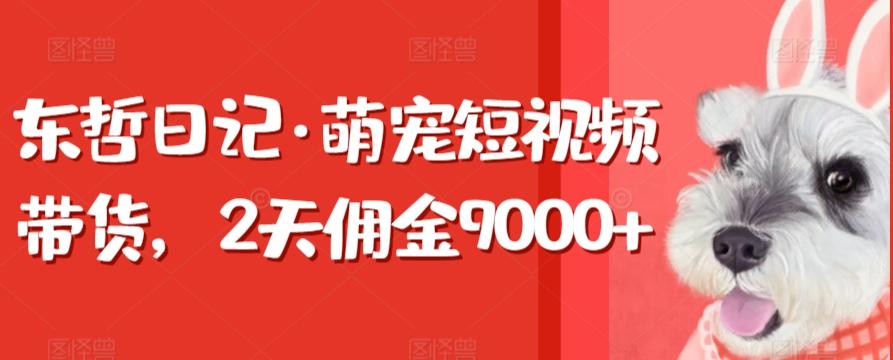 东哲日记·萌宠短视频带货，2天佣金9000+-一新网创