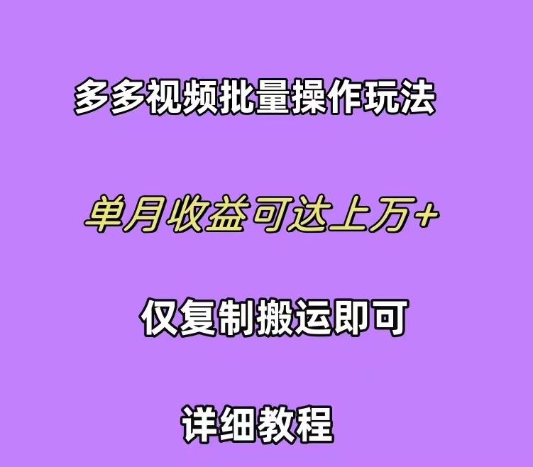 (10029期)拼多多视频带货快速过爆款选品教程 每天轻轻松松赚取三位数佣金 小白必...-一新网创