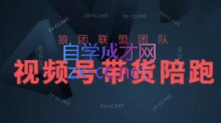 狼团联盟·2024视频号带货-一新网创