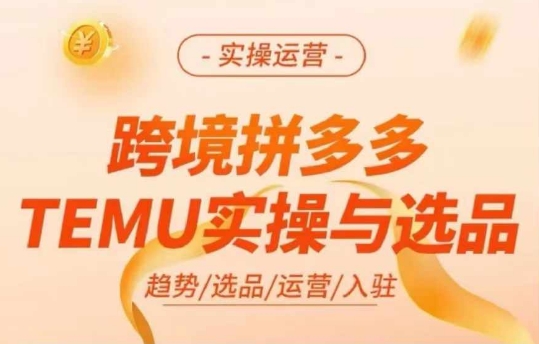 跨境拼多多TEMU实操与选品，多多temu跨境选品运营实操-一新网创