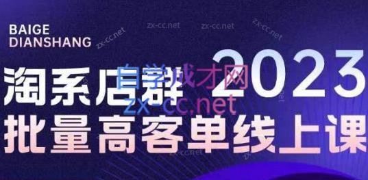 白戈电商·23年淘系批量高客单+24年全域电商矩阵-一新网创