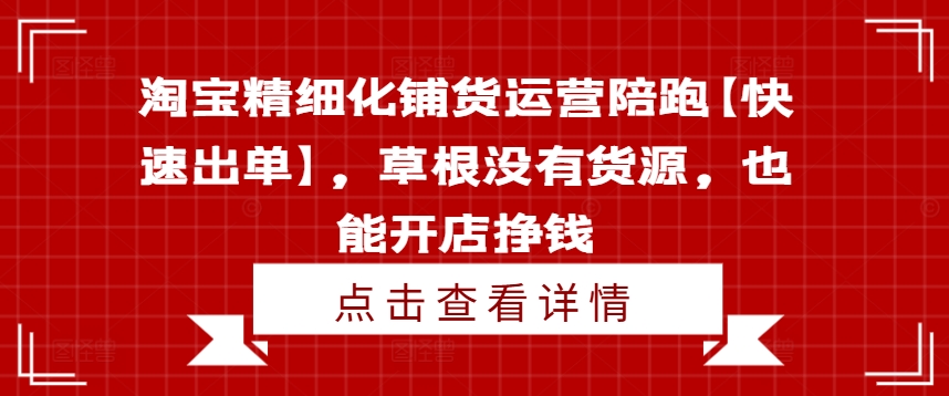 淘宝精细化铺货运营陪跑【快速出单】，草根没有货源，也能开店挣钱-一新网创