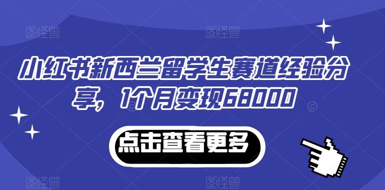 小红书新西兰留学生赛道经验分享，1个月变现68000【揭秘】-一新网创