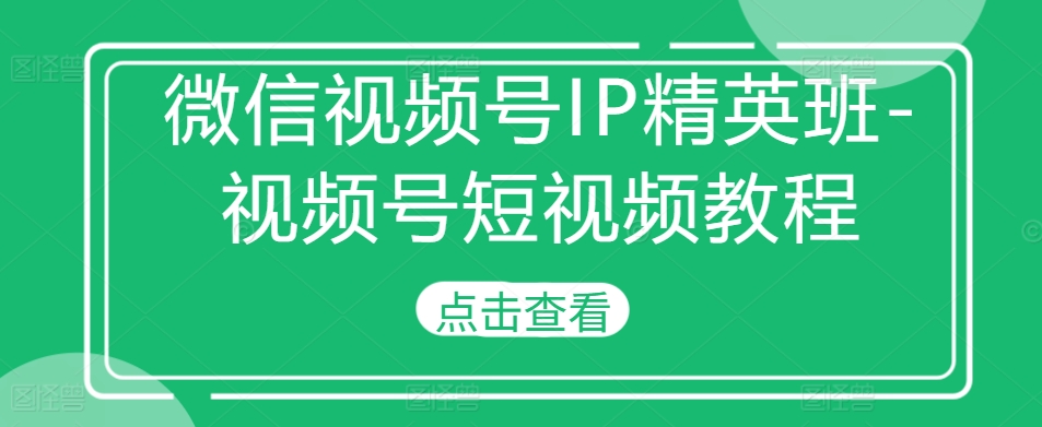 微信视频号IP精英班-视频号短视频教程-一新网创