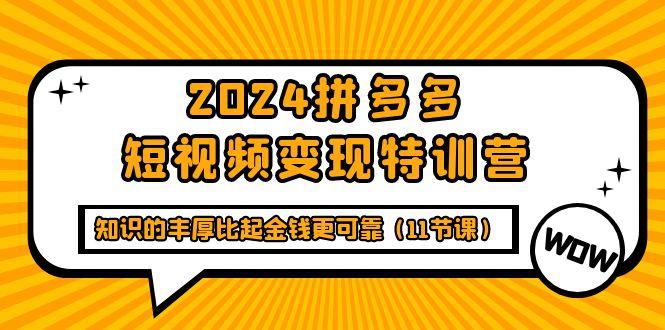 (9817期)2024拼多多短视频变现特训营，知识的丰厚比起金钱更可靠(11节课)-一新网创