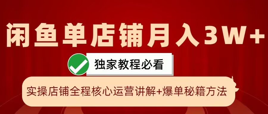闲鱼单店铺月入3W+实操展示，爆单核心秘籍，一学就会【揭秘】-一新网创