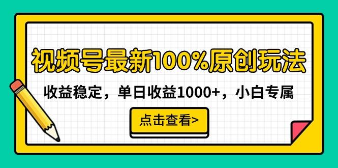 视频号最新100%原创玩法，收益稳定，单日收益1000+，小白专属-一新网创