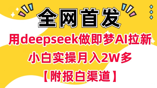 用deepseek做即梦Ai拉新 小白实操月入过W+【附报白渠道】-一新网创