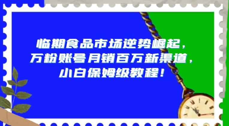临期食品市场逆势崛起，万粉账号月销百万新渠道，小白保姆级教程【揭秘】-一新网创