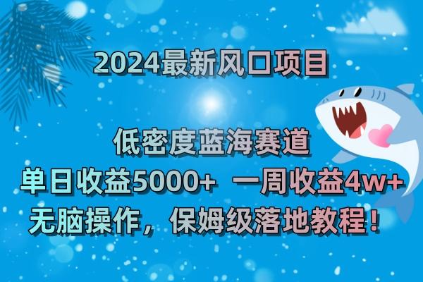 (8545期)2024最新风口项目 低密度蓝海赛道，日收益5000+周收益4w+ 无脑操作，保...-一新网创