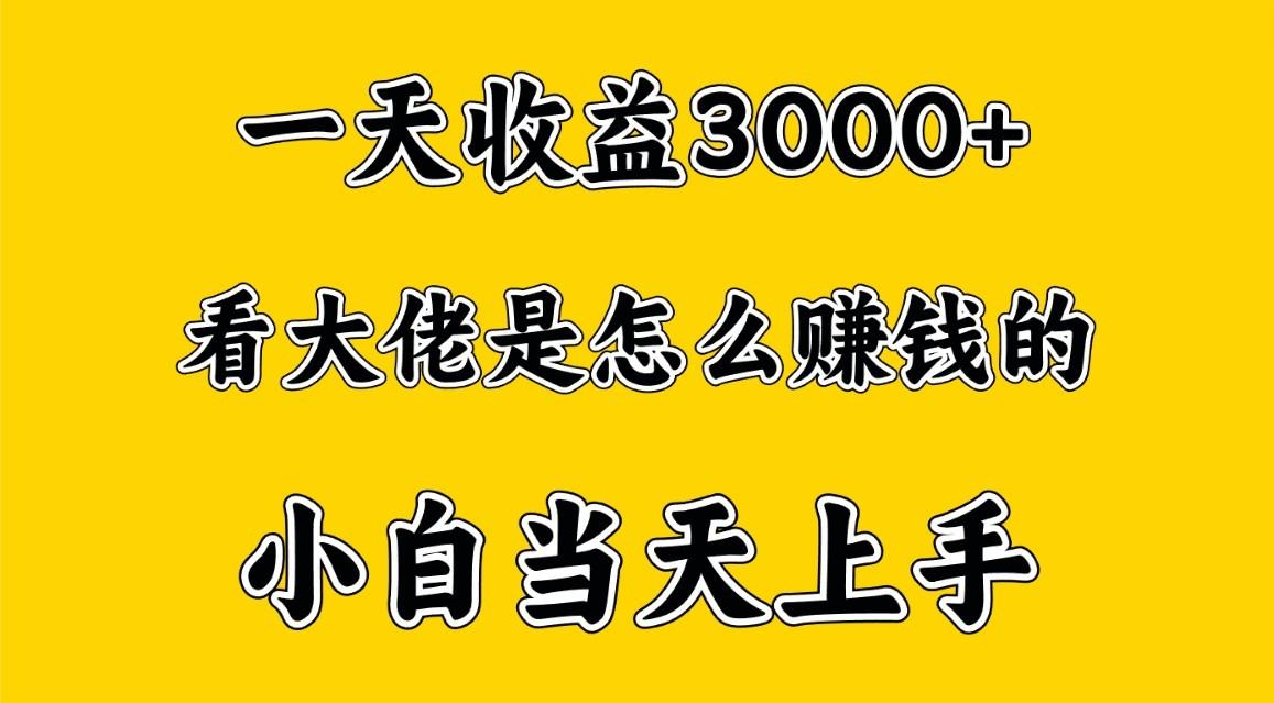 一天赚3000多，大佬是这样赚到钱的，小白当天上手，穷人翻身项目-一新网创