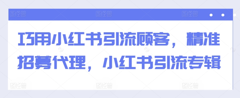 巧用小红书引流顾客，精准招募代理，小红书引流专辑-一新网创