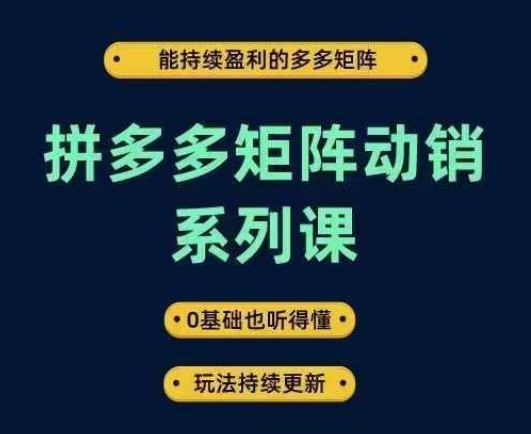 拼多多矩阵动销系列课，能持续盈利的多多矩阵，0基础也听得懂，玩法持续更新-一新网创