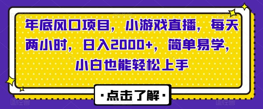 年底风口项目，小游戏直播，每天两小时，日入2000+，简单易学，小白也能轻松上手-一新网创