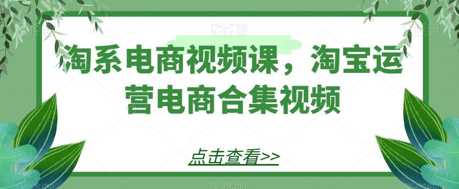 淘系电商视频课，淘宝运营电商合集视频-一新网创